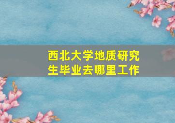 西北大学地质研究生毕业去哪里工作