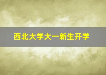 西北大学大一新生开学