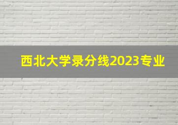 西北大学录分线2023专业