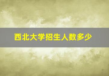 西北大学招生人数多少