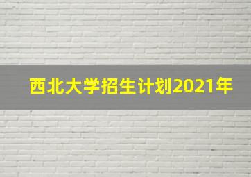 西北大学招生计划2021年