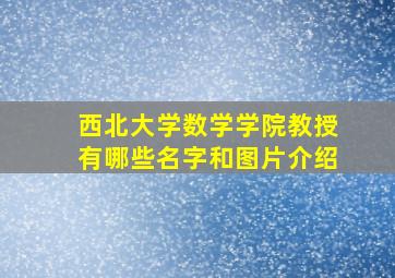 西北大学数学学院教授有哪些名字和图片介绍