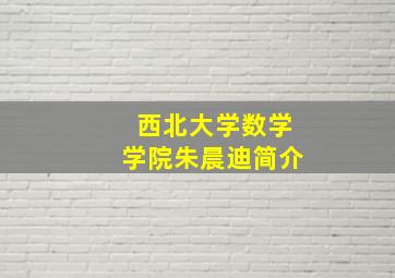 西北大学数学学院朱晨迪简介