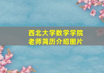 西北大学数学学院老师简历介绍图片