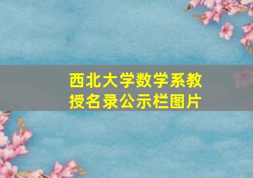 西北大学数学系教授名录公示栏图片