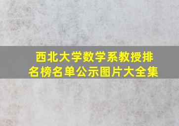 西北大学数学系教授排名榜名单公示图片大全集