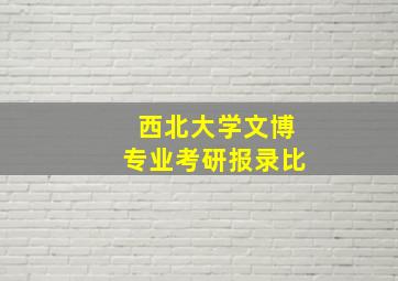 西北大学文博专业考研报录比