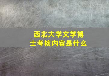 西北大学文学博士考核内容是什么