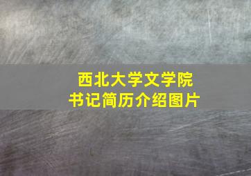 西北大学文学院书记简历介绍图片