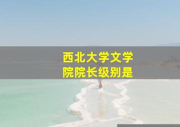 西北大学文学院院长级别是