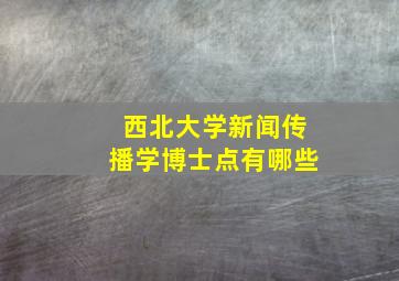 西北大学新闻传播学博士点有哪些