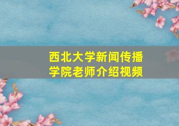 西北大学新闻传播学院老师介绍视频