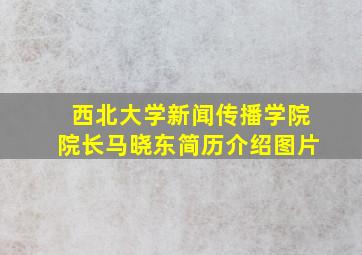 西北大学新闻传播学院院长马晓东简历介绍图片