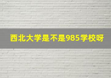 西北大学是不是985学校呀