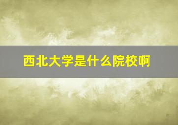 西北大学是什么院校啊