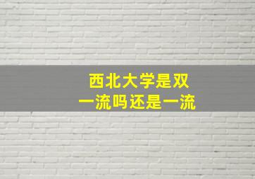 西北大学是双一流吗还是一流