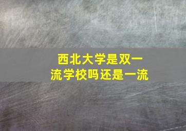 西北大学是双一流学校吗还是一流