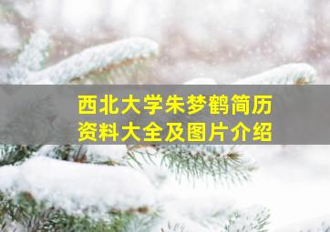 西北大学朱梦鹤简历资料大全及图片介绍