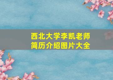 西北大学李凯老师简历介绍图片大全