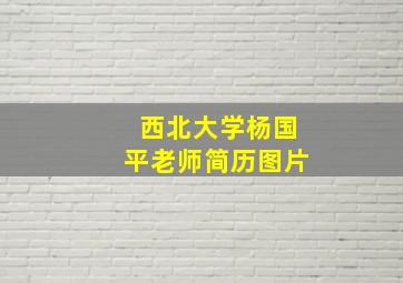 西北大学杨国平老师简历图片