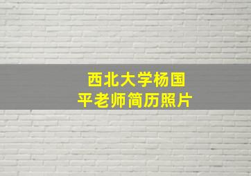 西北大学杨国平老师简历照片