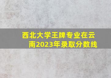 西北大学王牌专业在云南2023年录取分数线