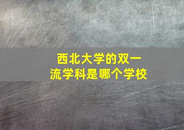 西北大学的双一流学科是哪个学校