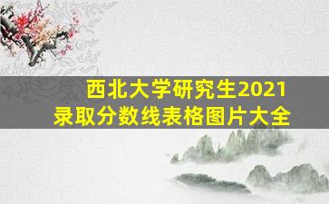 西北大学研究生2021录取分数线表格图片大全