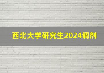 西北大学研究生2024调剂