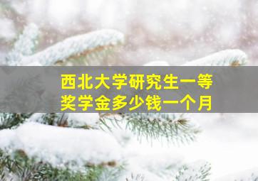 西北大学研究生一等奖学金多少钱一个月