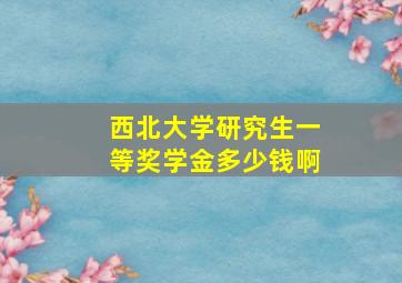 西北大学研究生一等奖学金多少钱啊