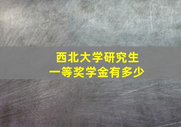 西北大学研究生一等奖学金有多少