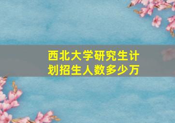 西北大学研究生计划招生人数多少万