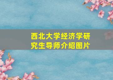 西北大学经济学研究生导师介绍图片