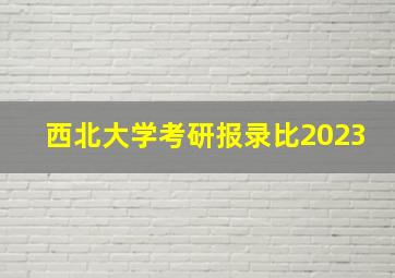 西北大学考研报录比2023