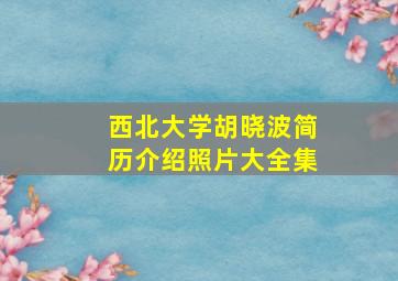 西北大学胡晓波简历介绍照片大全集