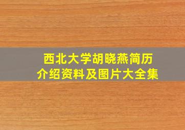 西北大学胡晓燕简历介绍资料及图片大全集