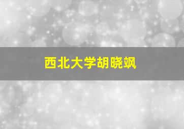 西北大学胡晓飒