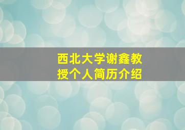 西北大学谢鑫教授个人简历介绍