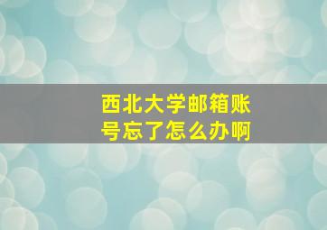 西北大学邮箱账号忘了怎么办啊