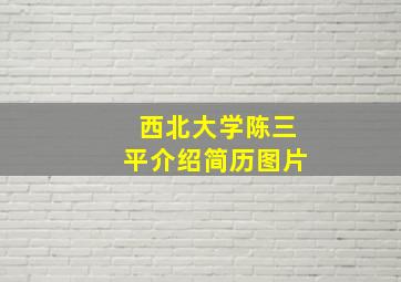 西北大学陈三平介绍简历图片