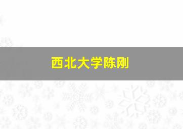 西北大学陈刚