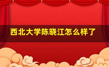 西北大学陈晓江怎么样了