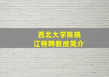 西北大学陈晓江特聘教授简介