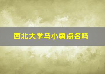 西北大学马小勇点名吗