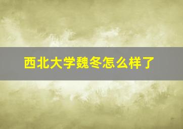 西北大学魏冬怎么样了