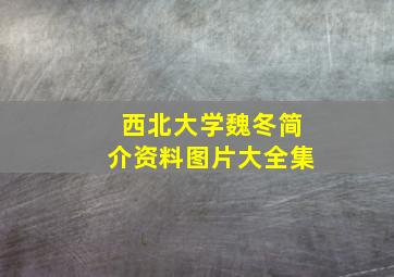 西北大学魏冬简介资料图片大全集