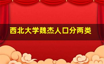 西北大学魏杰人口分两类