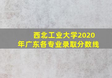 西北工业大学2020年广东各专业录取分数线