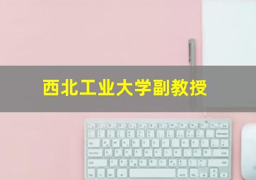 西北工业大学副教授